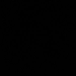 Meet your Posher, Fiona